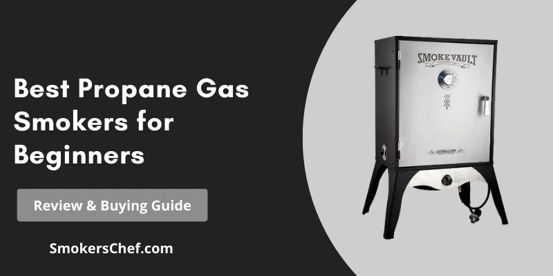 Best Propane Gas Smokers for Beginners Under $300