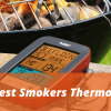 Best Smokers Thermometers