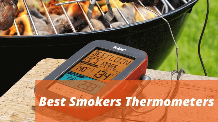 Best Smokers Thermometers